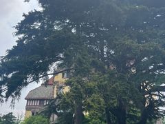 -青岛德国总督楼旧址博物馆