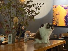 -咖法森林·咖啡  酒吧(天河店)