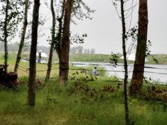 -蒲河岛湿地公园