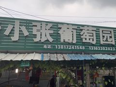 -马陆小张葡萄园农家乐