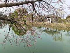 -无锡蠡湖国家湿地公园-蠡园