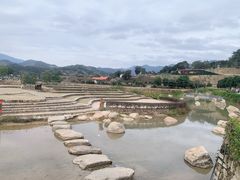 -福建土楼（华安）旅游区•大地土楼群