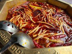 -蜀九香火锅(园艺山店)