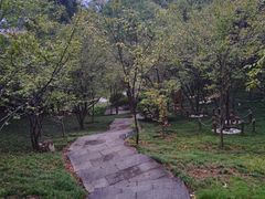 -福道