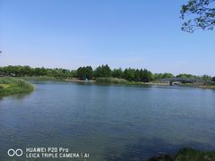 -鹅湖玫瑰文化园