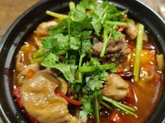 -铁公鸡·四川料理(天环广场店)