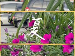 -九寨沟石锅鱼(沣峪口二十年店)