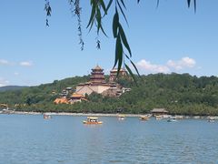 -茶花妹子云南餐厅(北大店)