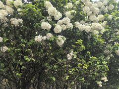 -宜兴龙背山森林公园