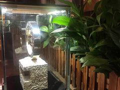 -上海新锦江大酒店