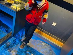 -深海中餐厅(国家海洋博物馆店)