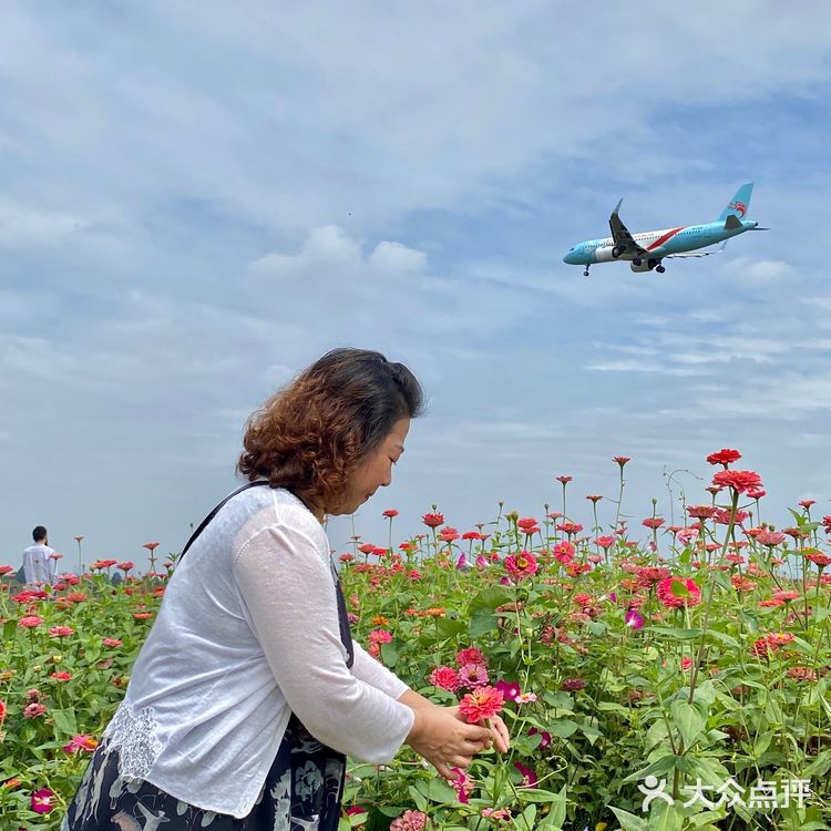 看飞机✈️好去处  拍照真的好好看呀～ 