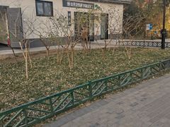 -玲珑塔公园