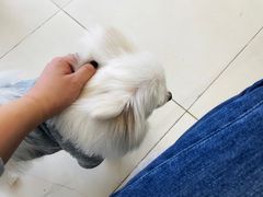 -怪兽屋·羊驼·猫咖·狗咖(俊华广场店)