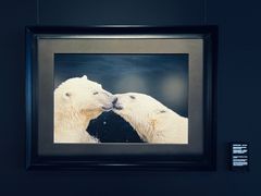 -罗红摄影艺术馆