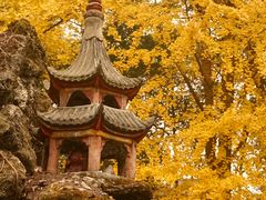 -宝光寺