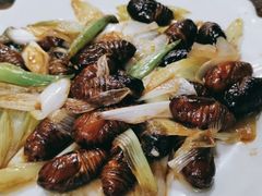 -韩风烤牛肉冷面店