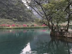 -靖西鹅泉风景区