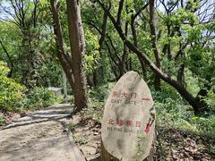 -上海佘山国家森林公园天马山园