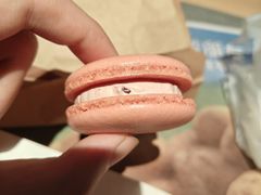 -麦当劳(金山红星美凯龙DT店)