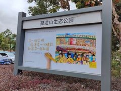 -聚龙山公园