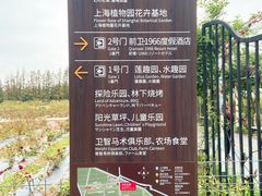 -上海长兴岛郊野公园