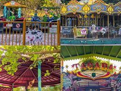 -美的鹭湖森林度假区