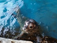 -小六汤包·老字号·中华名小吃(公园南路店)