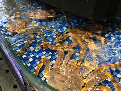 -大门水乡·顺德菜