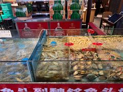 -魏铭鱼头捞饭(晋阳路店)