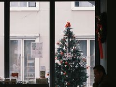 -Seesaw Coffee(上生新所店)