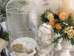 -共舞时光猫咖·狗咖(新街口店)
