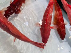 -万龙洲海鲜(南新仓店)