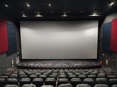 -万达影城(襄阳万达广场IMAX激光店)