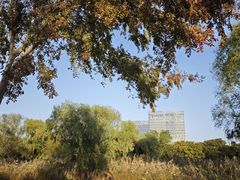 -长广溪湿地公园