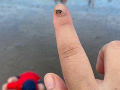 -南汇新城海滩