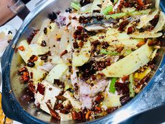 炝草鱼-万和源炝锅城·活鱼现炝(文艺北路店)