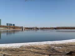 -大兴滨河森林公园