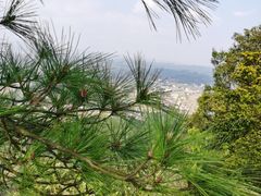 -浏阳石牛寨风景区