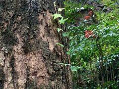 -宁波市保国寺古建筑博物馆