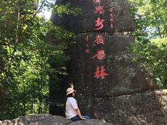 -汤旺河林海奇石景区
