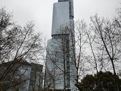 -紫峰大厦