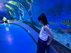-泉城欧乐堡海洋极地世界