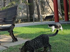 -沈阳市东陵公园