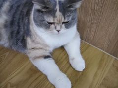 -藦茜花园宠物主题亲子互动体验馆(国顺东路店)