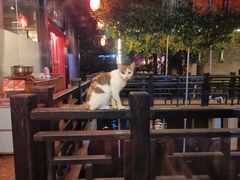 -侨美唐荔园·宴会厅(唐荔园食艺馆店)