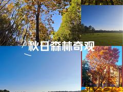 -上海海湾国家森林公园