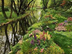 -上海共青森林公园