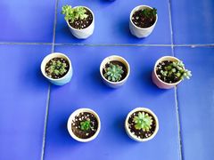 -星巴克(济宁万达广场店)