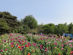 -国家植物园南园